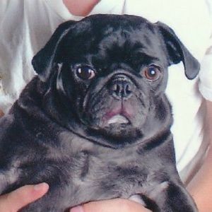 Meet your Posher, Aracelis